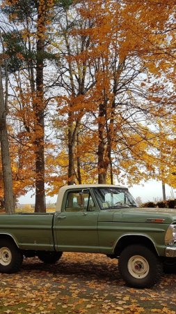 Пикапы Ford