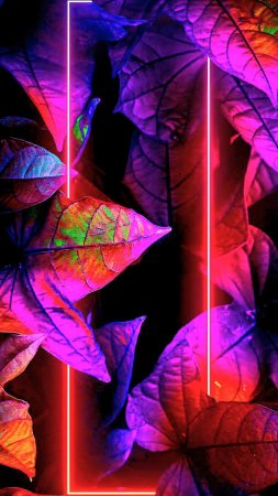 Неоновая природа