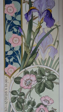 C riom : imperial and hydrangea - original lithograph art nouveau s