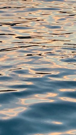 Water reflection