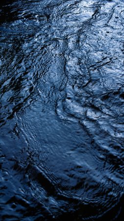 Волна воды