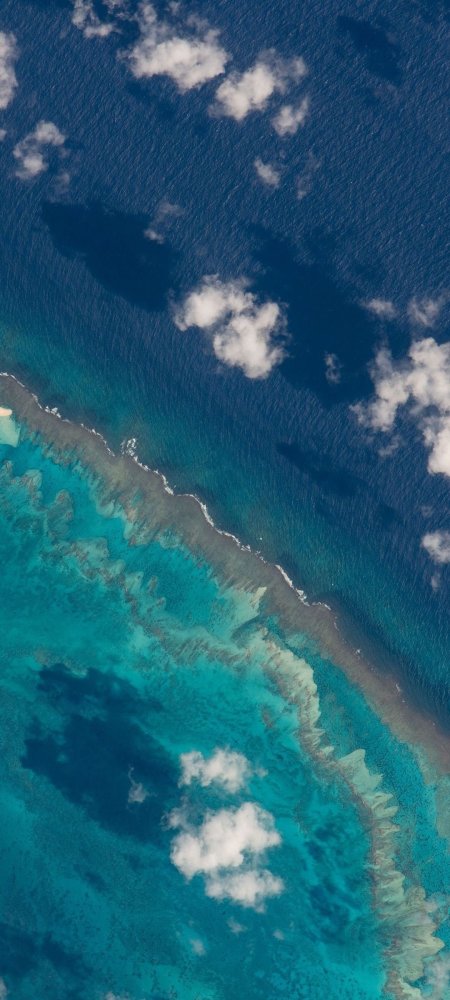 Море дно скачать фон 1080 x 2400