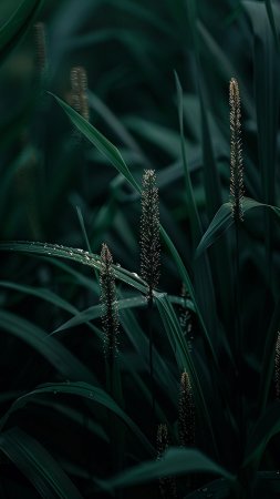 Зелень природа