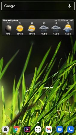 Live wallpaper трава android