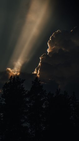Лучи солнца сквозь облака скачать фон 1424 x 2532