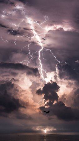 Молнии кататумбо венесуэла скачать фон 1424 x 2532