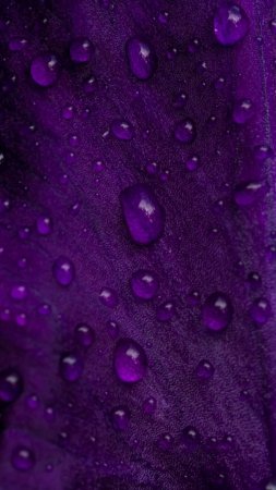 Фиолетовые капли скачать фон 720 x 1280