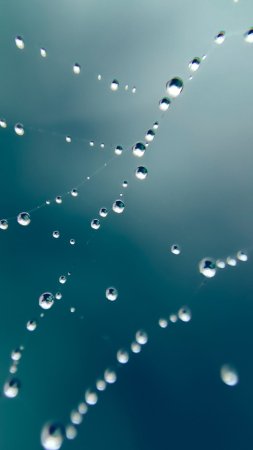Капли воды скачать фон 2160 x 3840