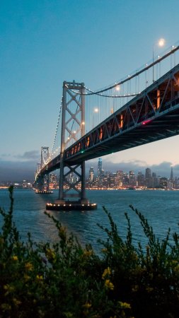 Bay bridge san francisco скачать фон 2160 x 3840