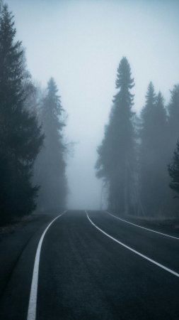Дорога в тумане скачать фон 2160 x 3840