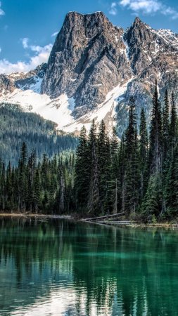 Yoho national park