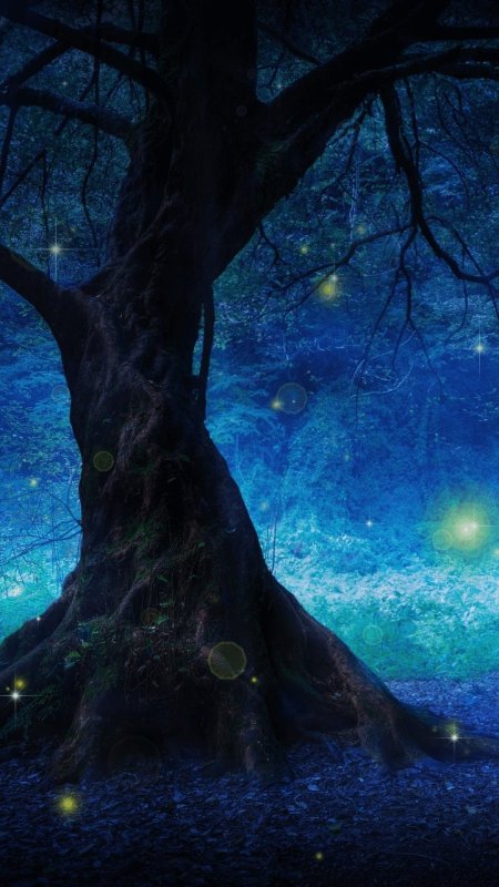 Enchanted tree скачать фон 1080 x 1920