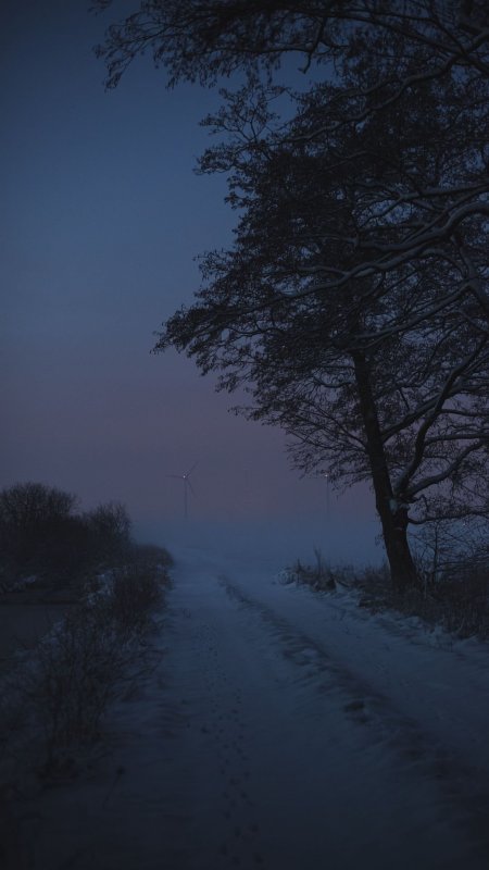 Пейзаж мрачный скачать фон 1080 x 1920