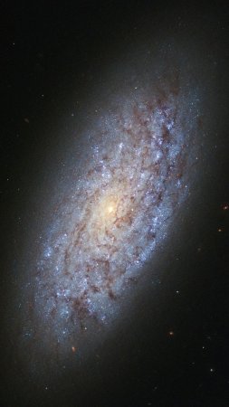 Спиральная галактика м 31 ngc 224
