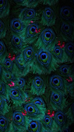 Peacock bird feather скачать фон 1424 x 2532