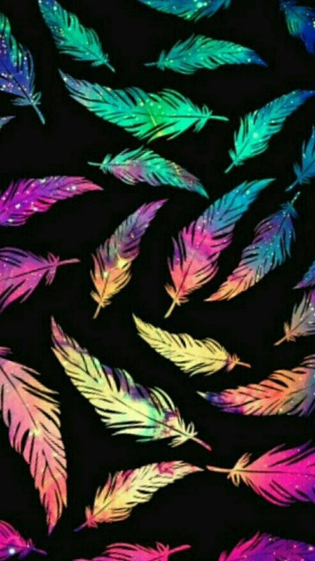 Обои перья скачать фон 1080 x 1920