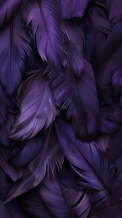 Перья фиолетовые скачать фон 1080 x 1920