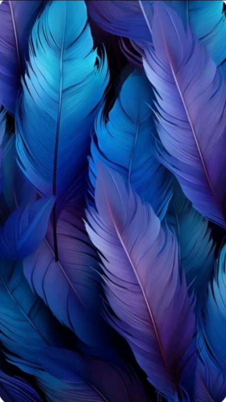 Фон перо скачать фон 1080 x 1920