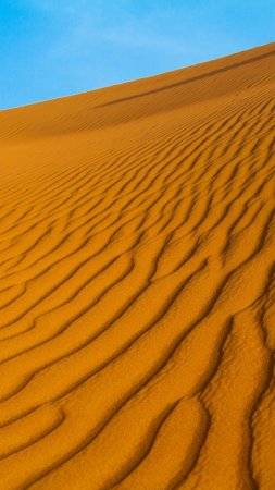 Sand dunes скачать фон 1424 x 2532