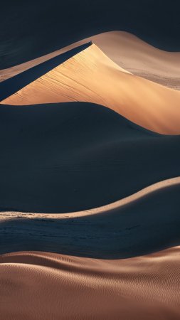Sand dunes in the desert скачать фон 1424 x 2532