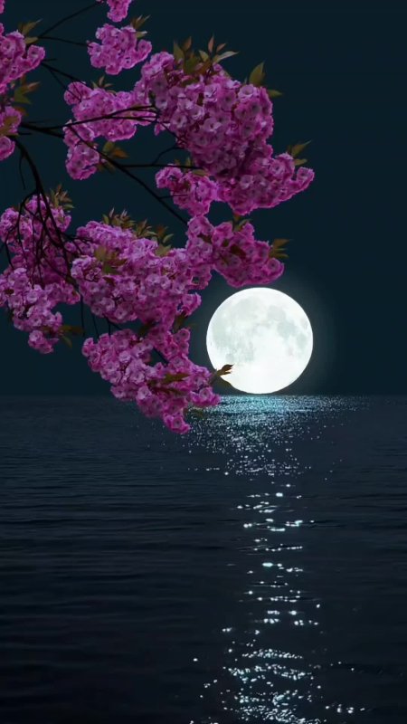 Спокойной ночи природа