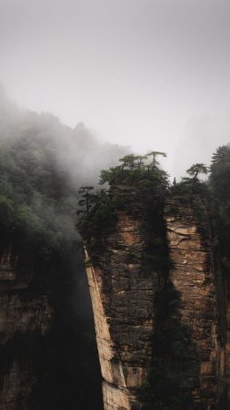 Чжанцзяцзе национальный лесной парк скачать фон 2160 x 3840