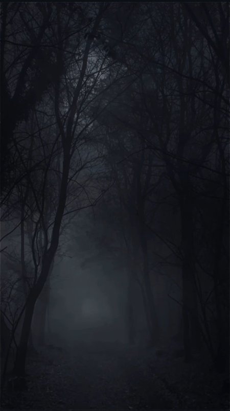 Лес тёмный мрачный скачать фон 1080 x 1932