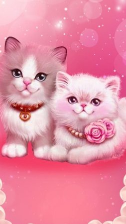Милые котенок