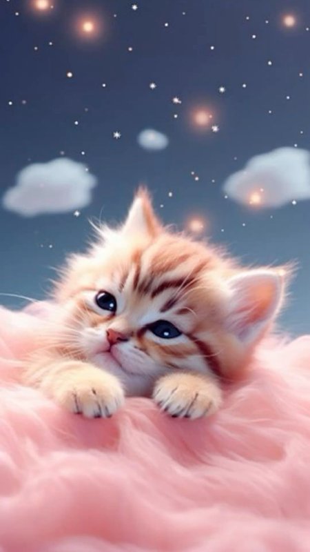 Обои с изображением кошки, пастельно-розового котенка, котенка