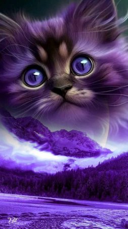 Фиолетовый котенок