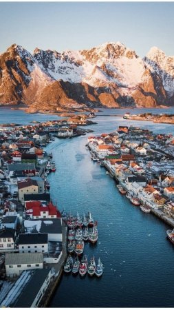 Korolevstvo norvegiya скачать фон 1080 x 1920