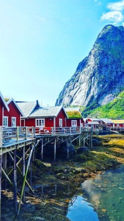 Reine деревня норвегия скачать фон 720 x 1280