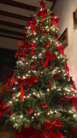 Classic christmas tree ель хэмстед .