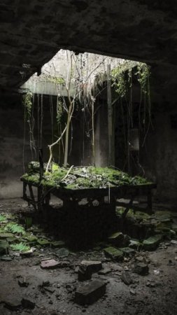 Заброшенная лаборатория скачать фон 720 x 1280