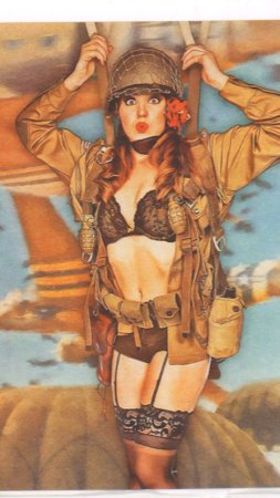 Ww style pinups by britt dietz ( + работ )