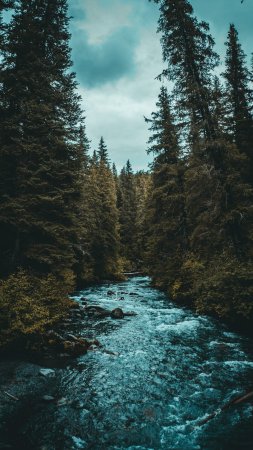 Tidal creek скачать фон 1424 x 2532