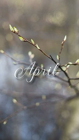 Привет апрель