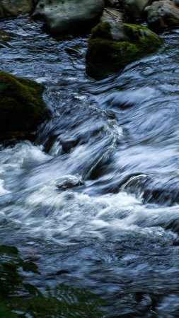 Вода в реке