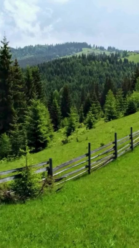 Лесистые Карпаты
