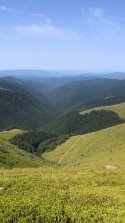Полонина боржава скачать фон 720 x 1280