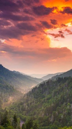 Great smokey mountains скачать фон 1080 x 1920