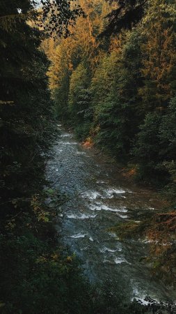 A river running through forest скачать фон 720 x 1280