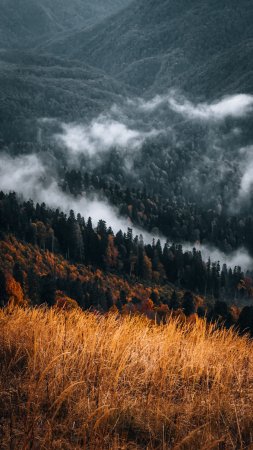 Осень горы туман скачать фон 2160 x 3840
