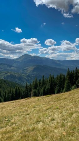 Карпаты горы скачать фон 1080 x 1920