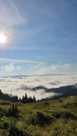 Швейцария горы туман скачать фон 2160 x 3840