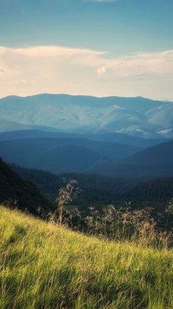 Карпаты гора великий верх скачать фон 720 x 1280
