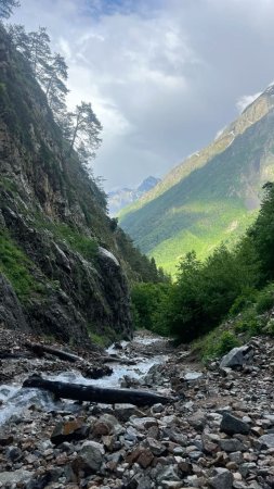 Цейский ледник и ущелье в северной осетии скачать фон 1080 x 1920