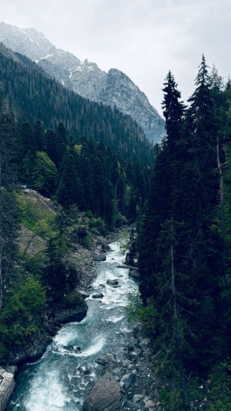Горная река скачать фон 1080 x 1920