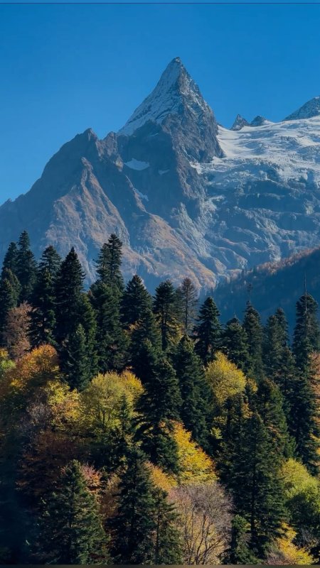 Гора домбай скачать фон 1080 x 1920