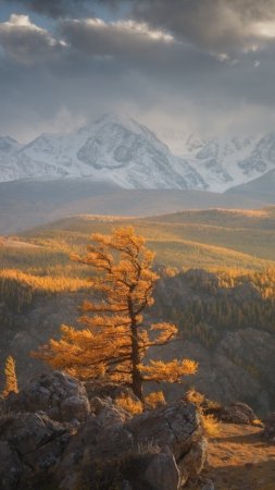 Осенний алтай скачать фон 720 x 1280
